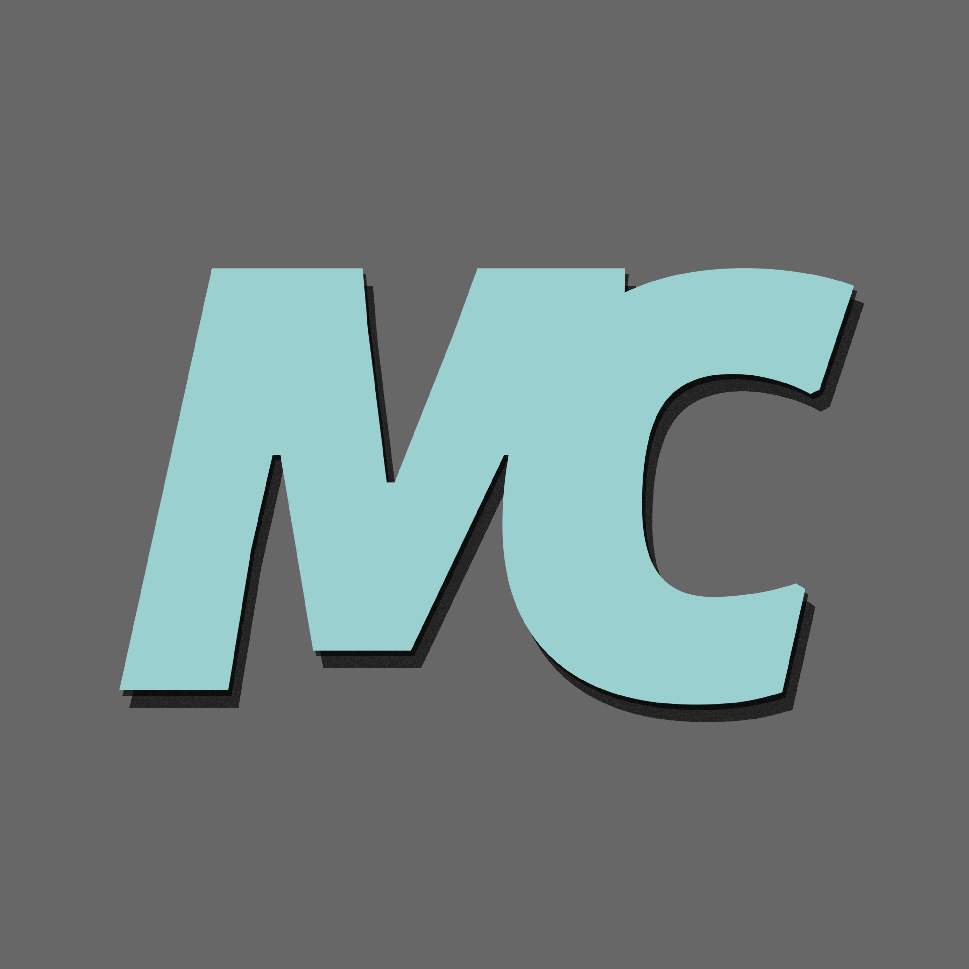 Mariya Goncharenko's Professional Portfolio